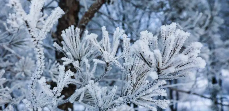 East Kazakhstan village records bone-chilling -53°C
