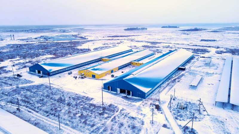 сельхоз сельхоз