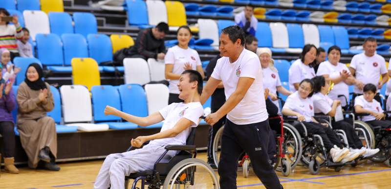 боччисты боччисты