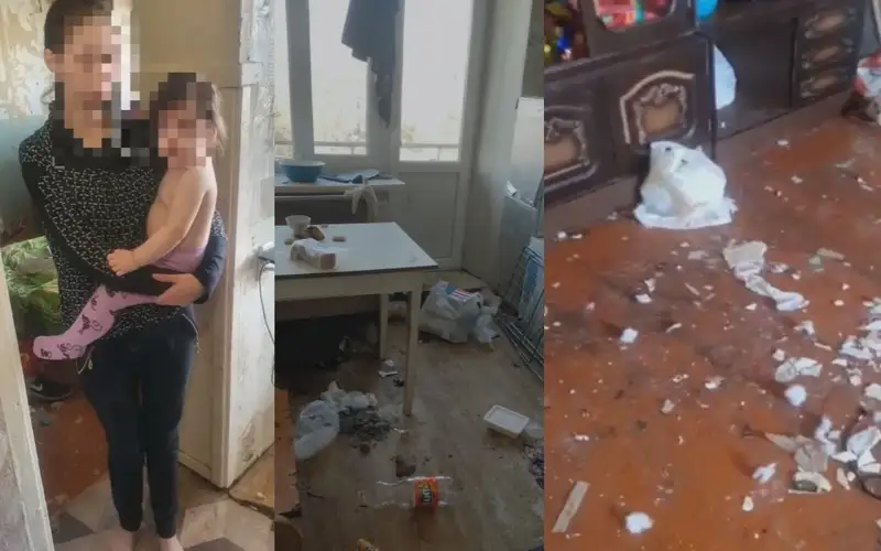 коллаж из видео ДП Павлодарской области
