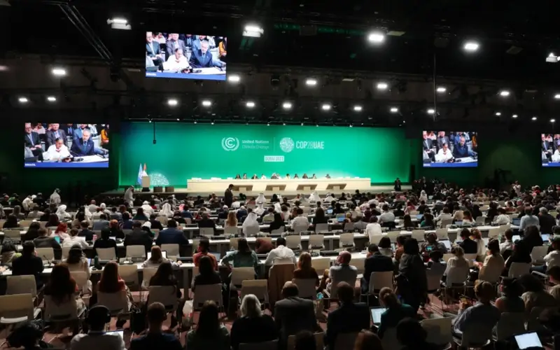 COP29 в 2024 году пройдет в Азербайджане