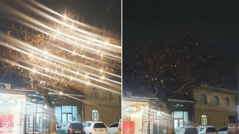 Ўзбекистонда беҳуда ёниб турган чироқлар ва реклама мониторларига қарши рейд бошланди