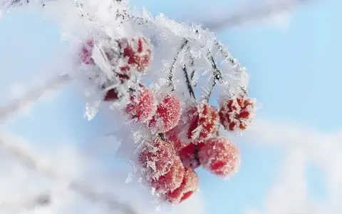ауа райы