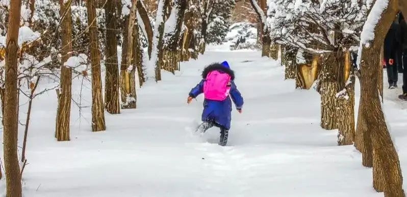 дистанционное обучение из-за непогоды