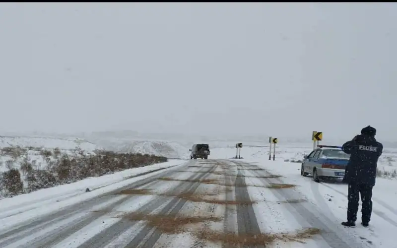 Ақмола вилоятида ноқулай об-ҳаво шароитида йўлда қолган 31 нафар хорижлик эвакуация қилинди