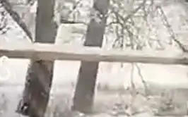 Танцующий газопровод в Алматинской области