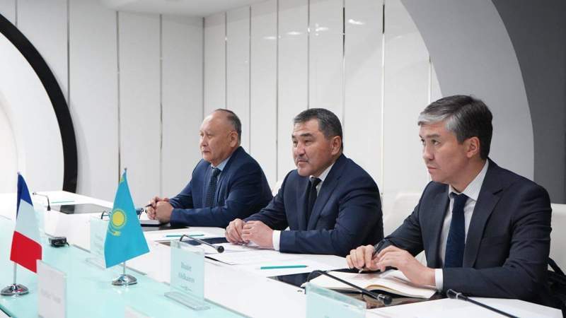 水资源和灌溉部部长会见法国大使