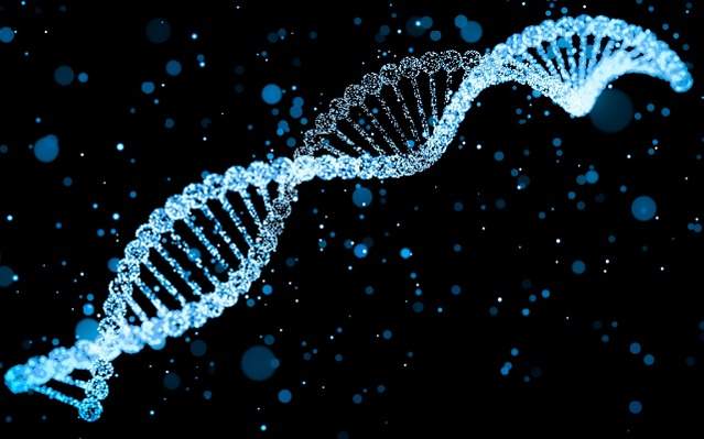 Parents can customize future babies with genetic screening DNA