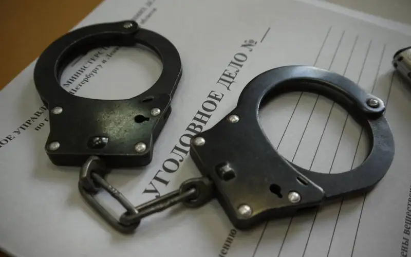 11 групп домушников обезвредили в области Жетысу