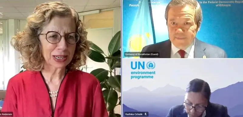 Barlybay Sadykov, Non-Resident Ambassador of Kazakhstan to Ethiopia and Kenya, Permanent Representative to the UN Office in Nairobi held a meeting with Inger Andersen, UN Under-Secretary-General, Executive Director of the UN Environment Programme (UNEP)