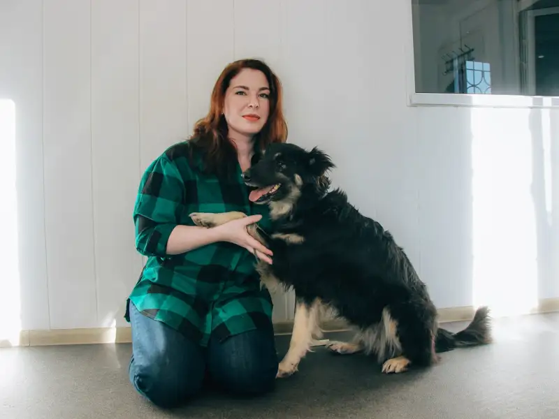 Собака Стеша