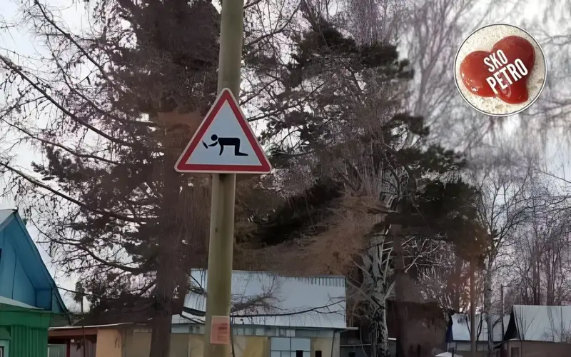 belgi
