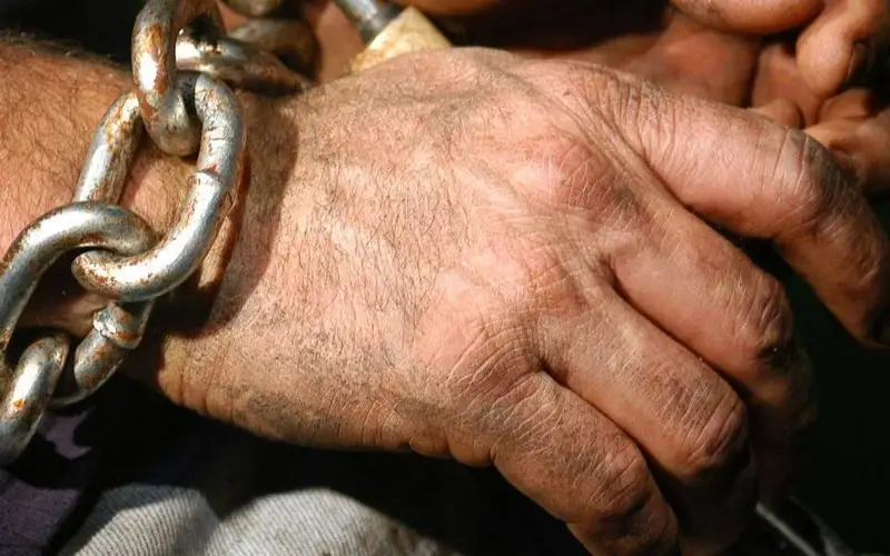 Таразда икки эркакни қулликда ушлаб турган Туркистон вилояти фуқароси қўлга олинди