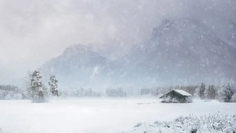 Мўғулистонда бўрон пайтида 89 киши бедарак йўқолди