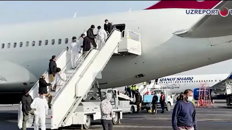 Мексика орқали АҚШга борган 119 нафар ўзбекистонлик ортга қайтди 