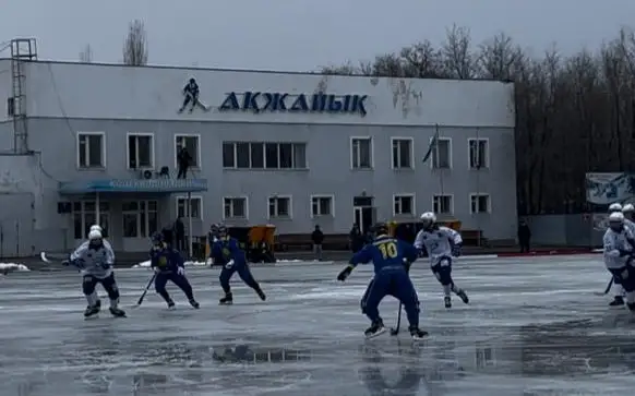 допты хоккей