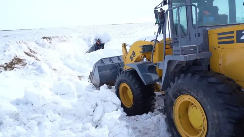 көлік министрлігі