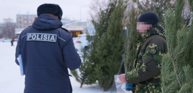 вырубка деревьев