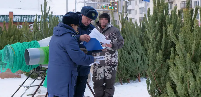 вырубка деревьев 