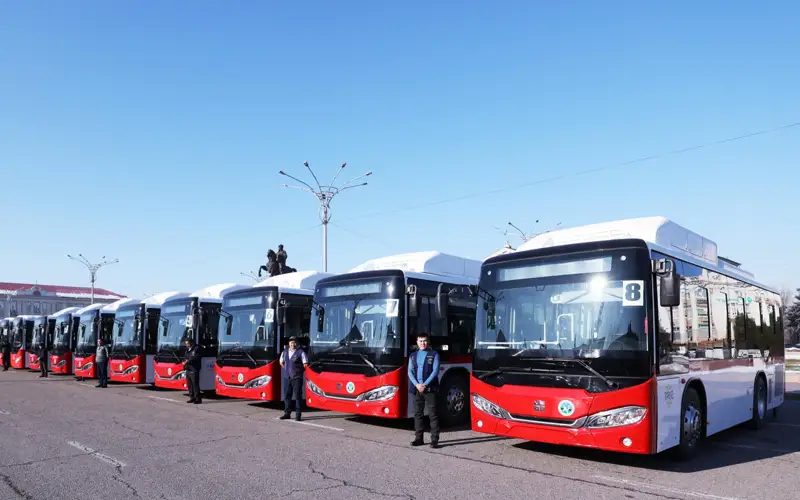  автобус, Тараз  