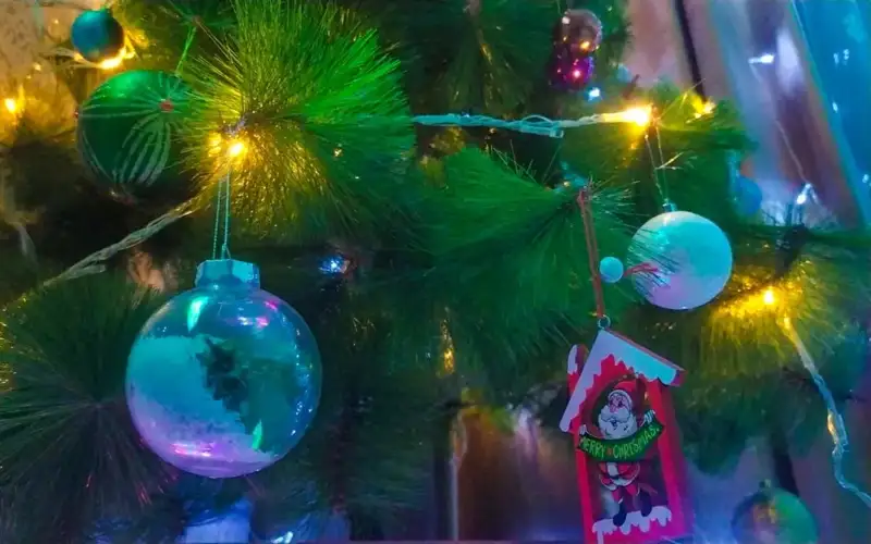 Көкшетауда Жаңа жылды мерекелеуге 45 млн теңге жұмсалады