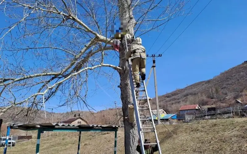 өскемен