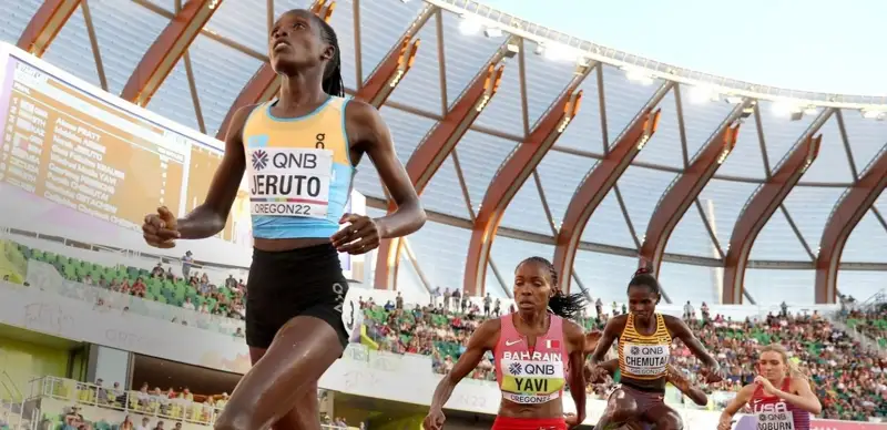 нора джеруто