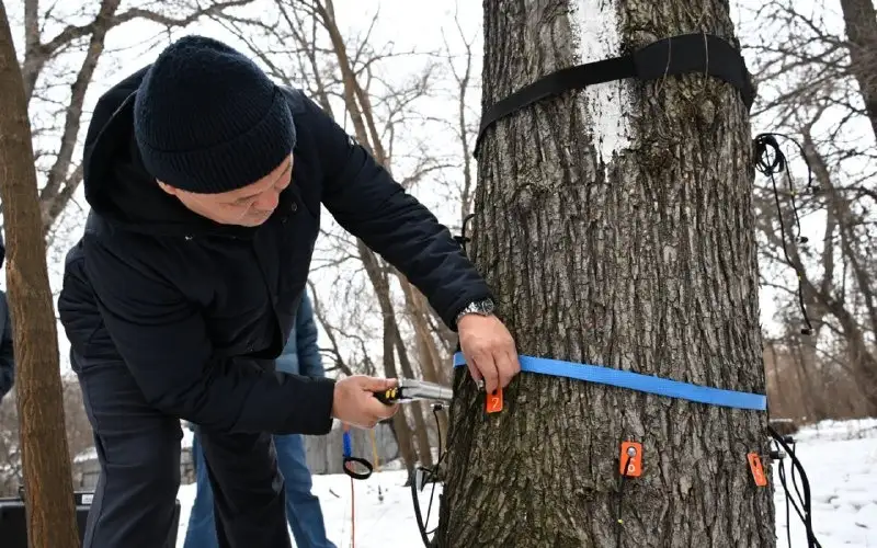 акимат г. Алматы