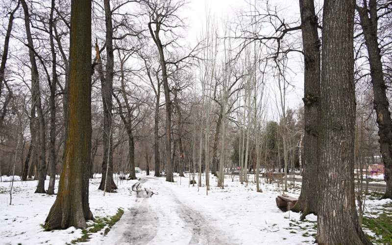 акимат г. Алматы акимат г. Алматы