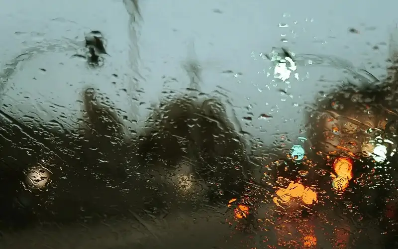 Германия, Чехия ва Нидерландия ёмғир остида қолмоқда