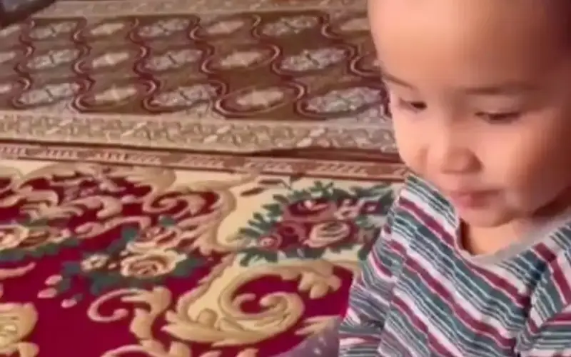 قازاق زيالىلارىن جاتقا بىلەتىن