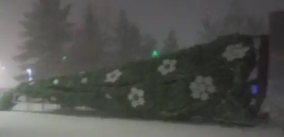 елка упала в Лисаковске