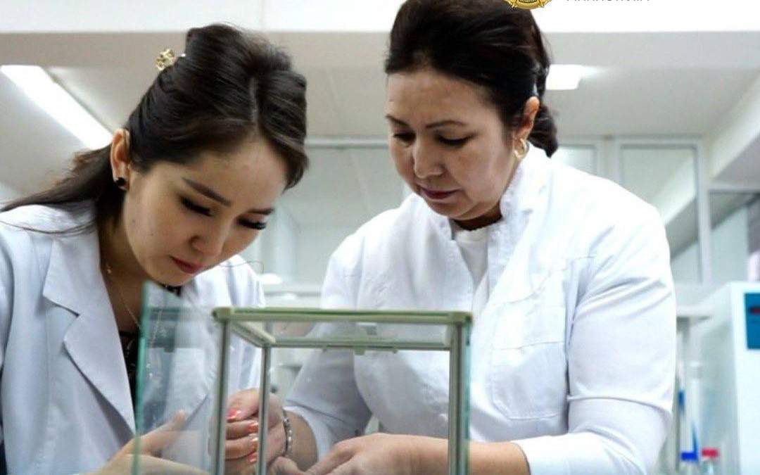 Қазақ ғалымы бір мәрте егіліп, 5-6 жыл бойы өнім беретін бидайды нарыққа  шығармақ