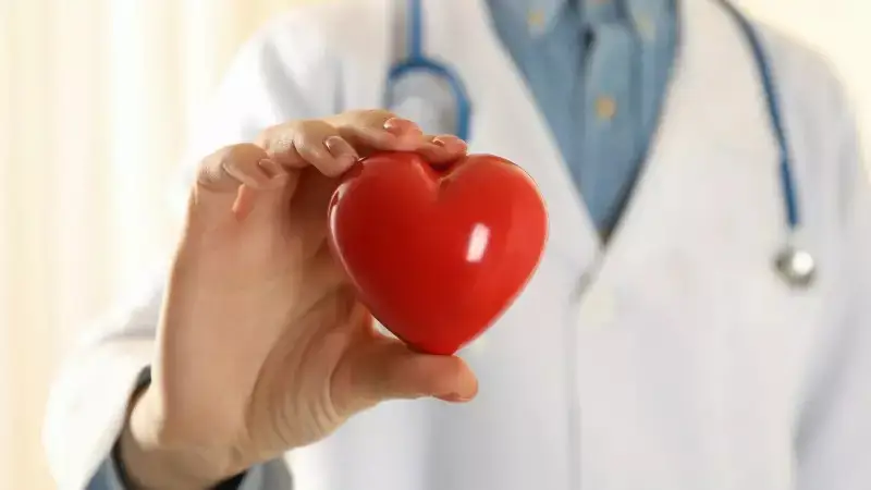 تاماقتى جىلىتپاي جەۋ جۇرەك اۋرۋلارىنا شالدىقتىرۋى مۇمكىن