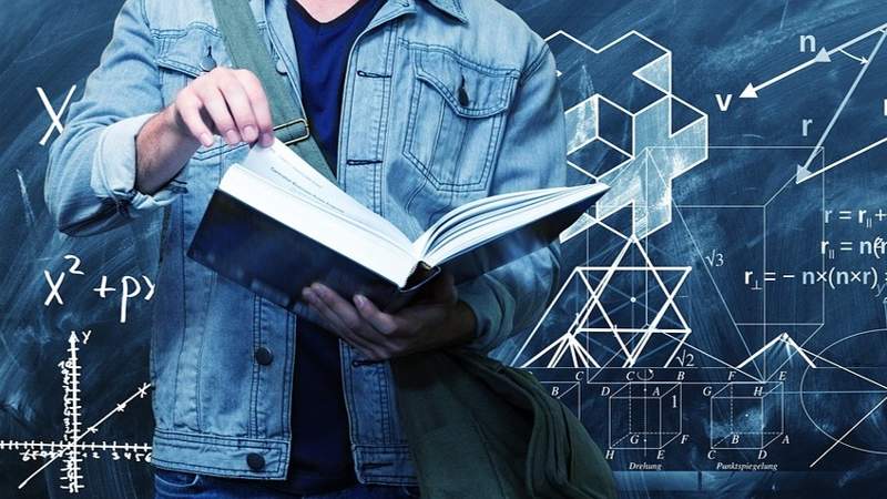 образование