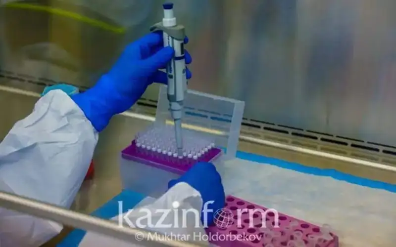 Peru identifies first 12 cases of new COVID-19 variant JN.1