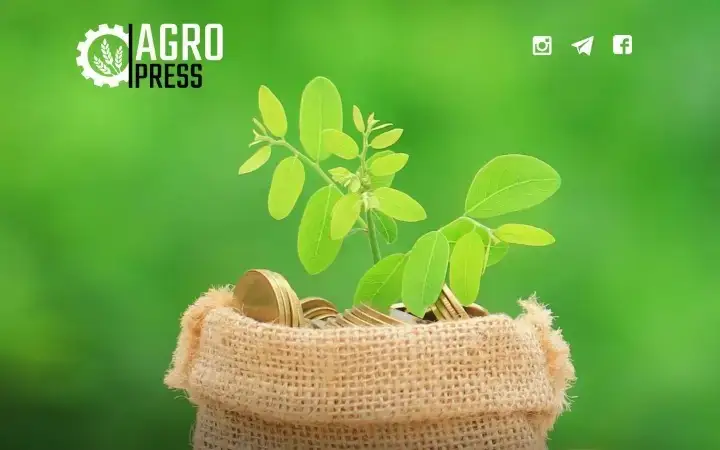 ҚР Қишлоқ хўжалиги вазирлиги қишлоқ жойларда микрокредит бериш қоидаларини тасдиқлади