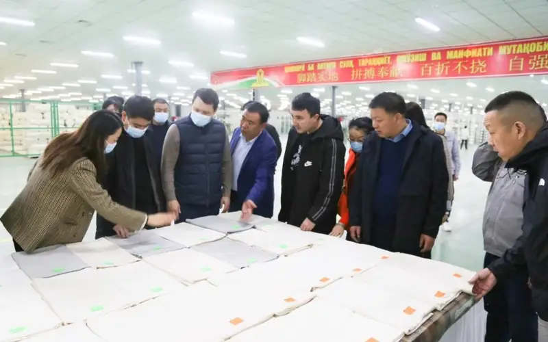 中国新疆企业拟投资兴办棉花加工厂