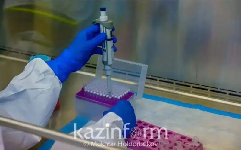 Peru identifies first 12 cases of new COVID-19 variant JN.1