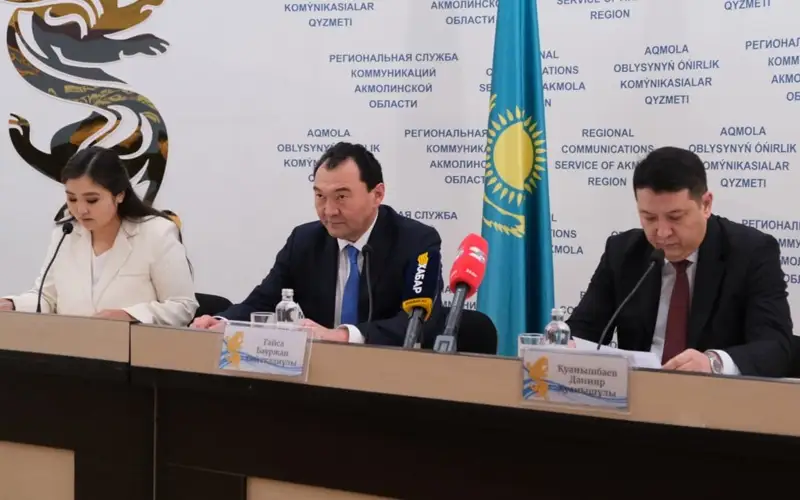 После строительства ТЭЦ Кокшетау перестанет быть «городом аристонов» - аким