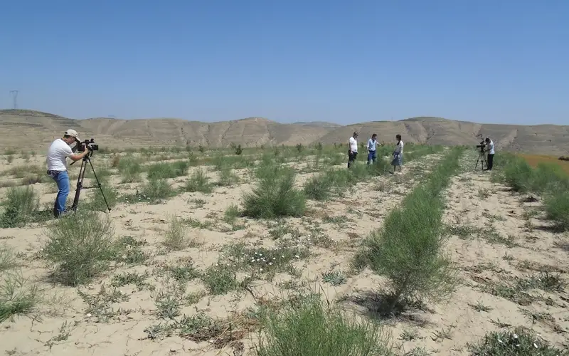 тыйым салынды