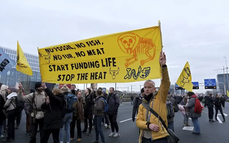 Нидерланды