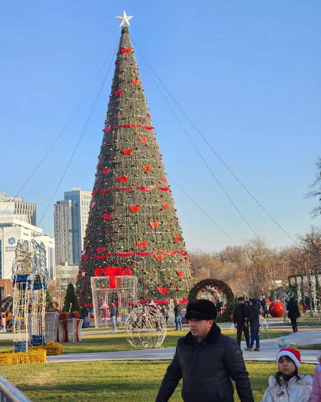 елка елка