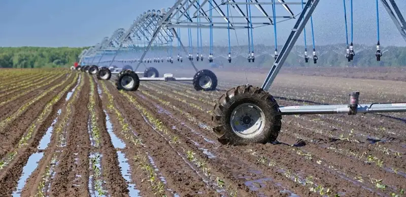 irrigation