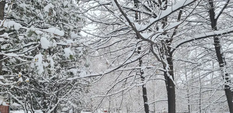 Зима в Таразе