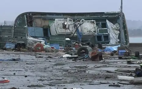 цунами Япония