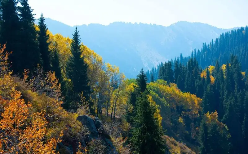 58 млрд тенге намерены вложить в развитие туризма в Алматинской области