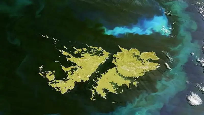 Аргентина президенти Буюк Британияни Фолкленд масаласи бўйича музокаралар олиб боришга чақирди