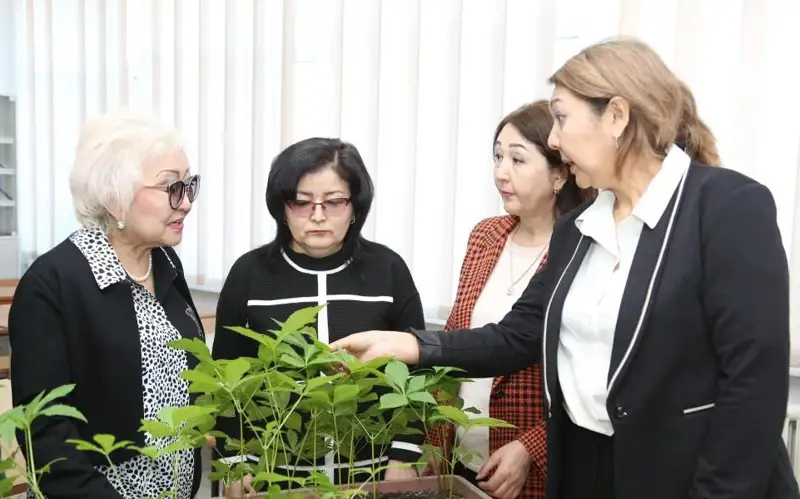 Ученые нашли способ очистить воздух в Алматы