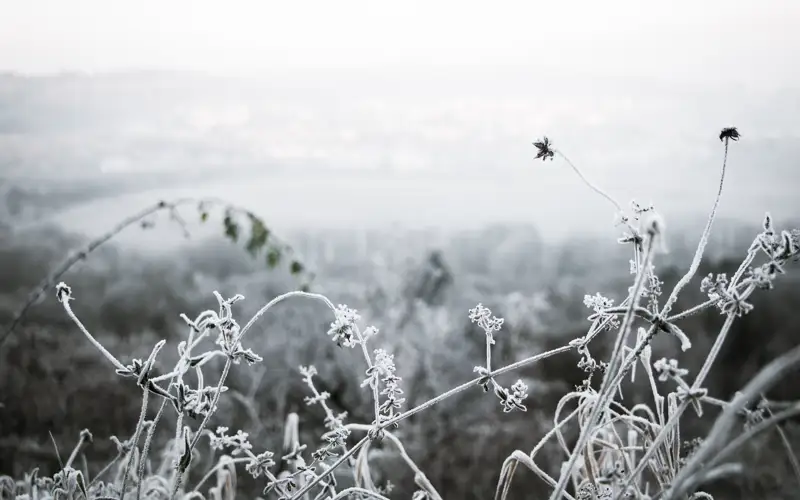 прогноз погоды